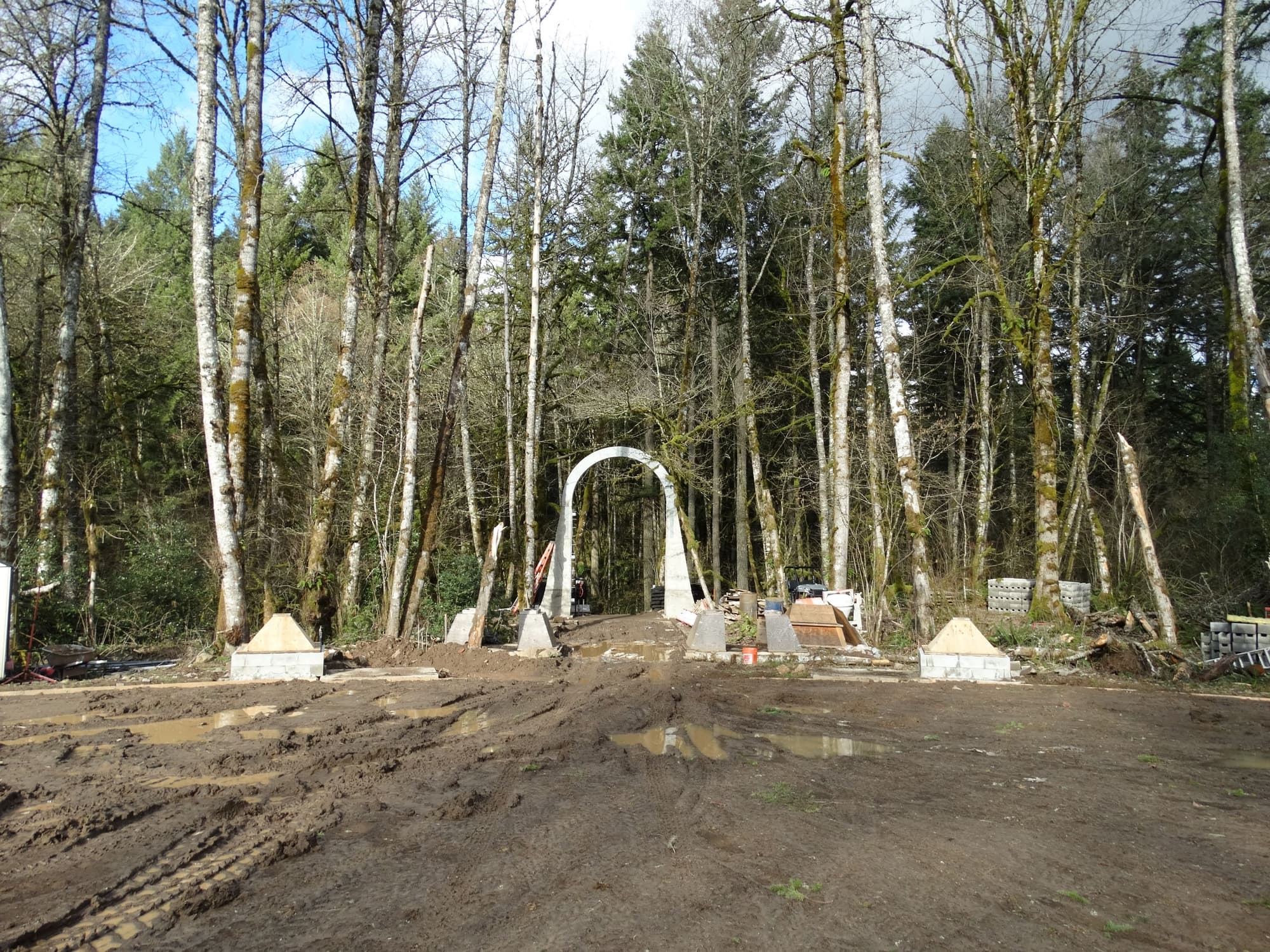 Arch construction forest clearing