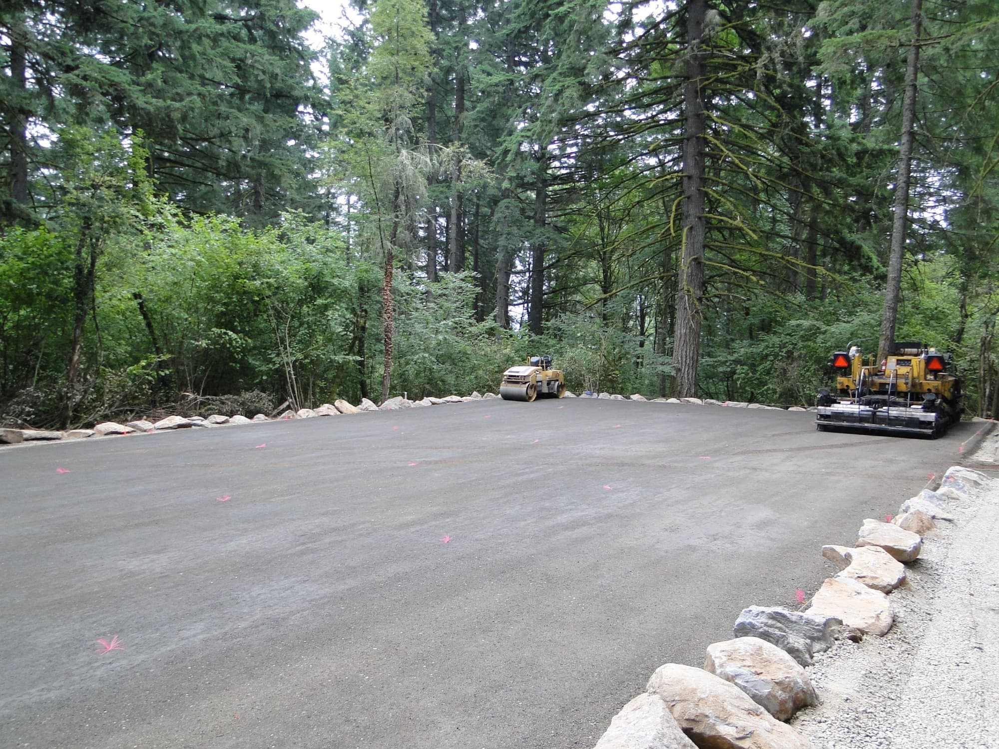 Asphalt paving forest clearing