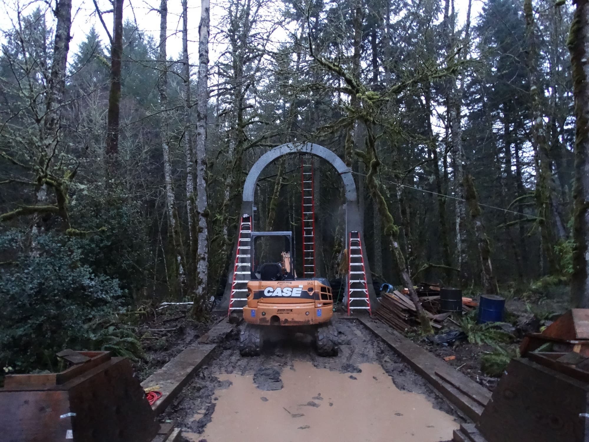 Excavator arch ladders forest