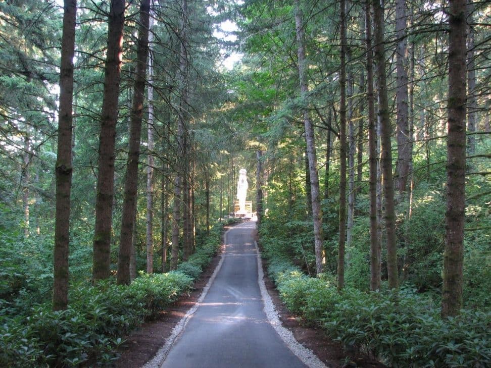 Forest driveway white statue