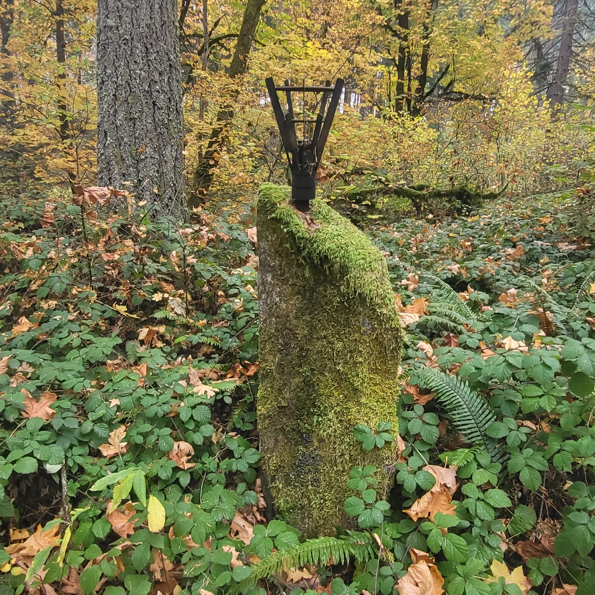 Moss monolith iron lamp