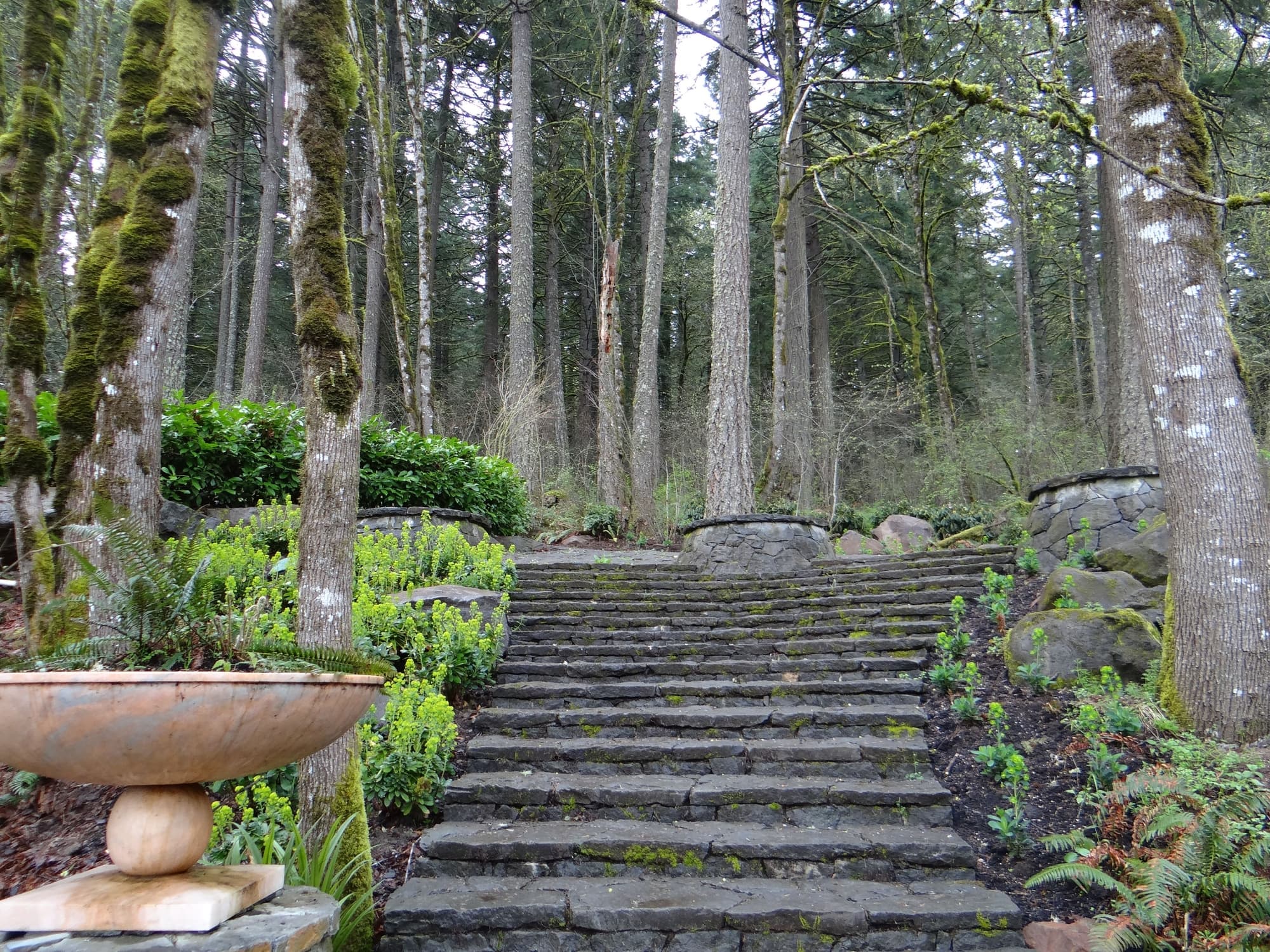 Stone staircase forest urn