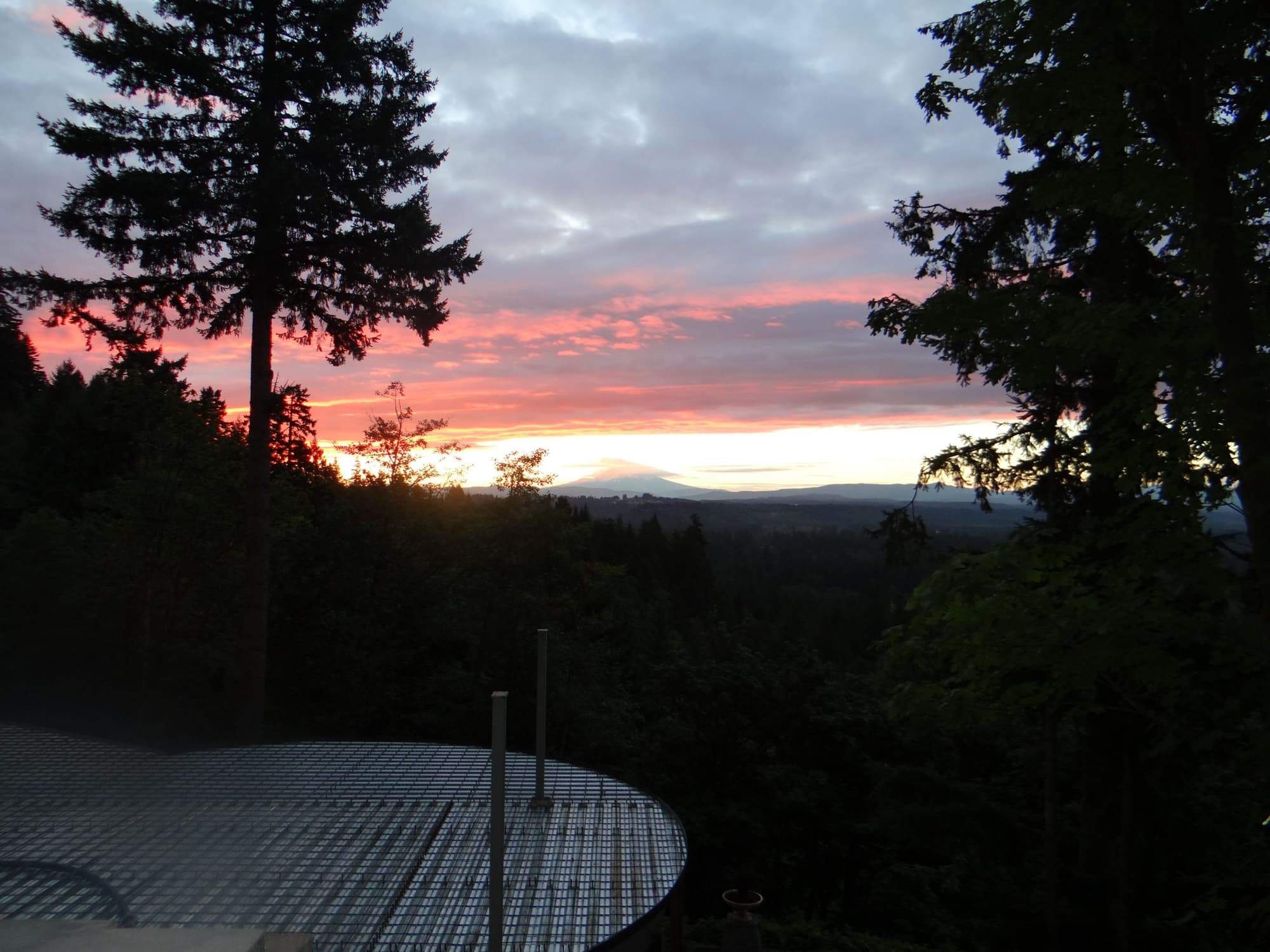 Sunset mountain forest view