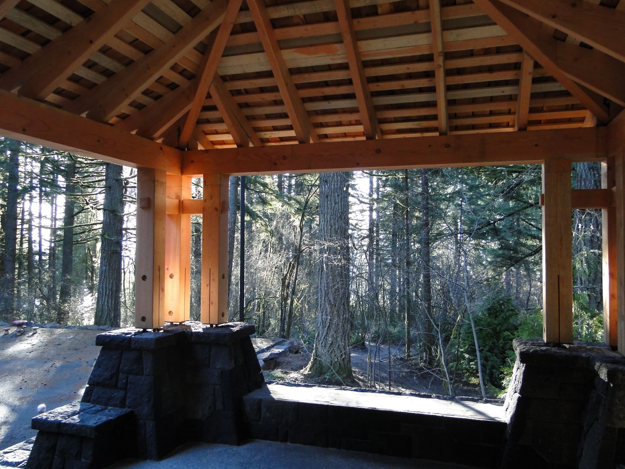 Timber pavilion roof interior