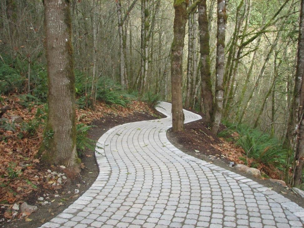 Winding cobblestone forest path